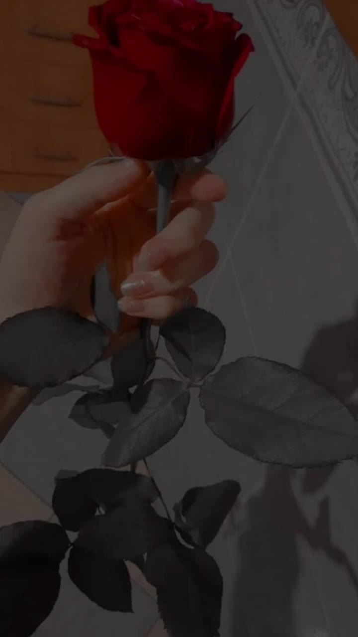 @🦋𝓚𝓮𝓵𝓮𝓫𝓮𝓴𝓶𝓲𝓼𝓪𝓵𝓲