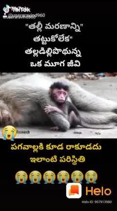 @Boina Jeevitha