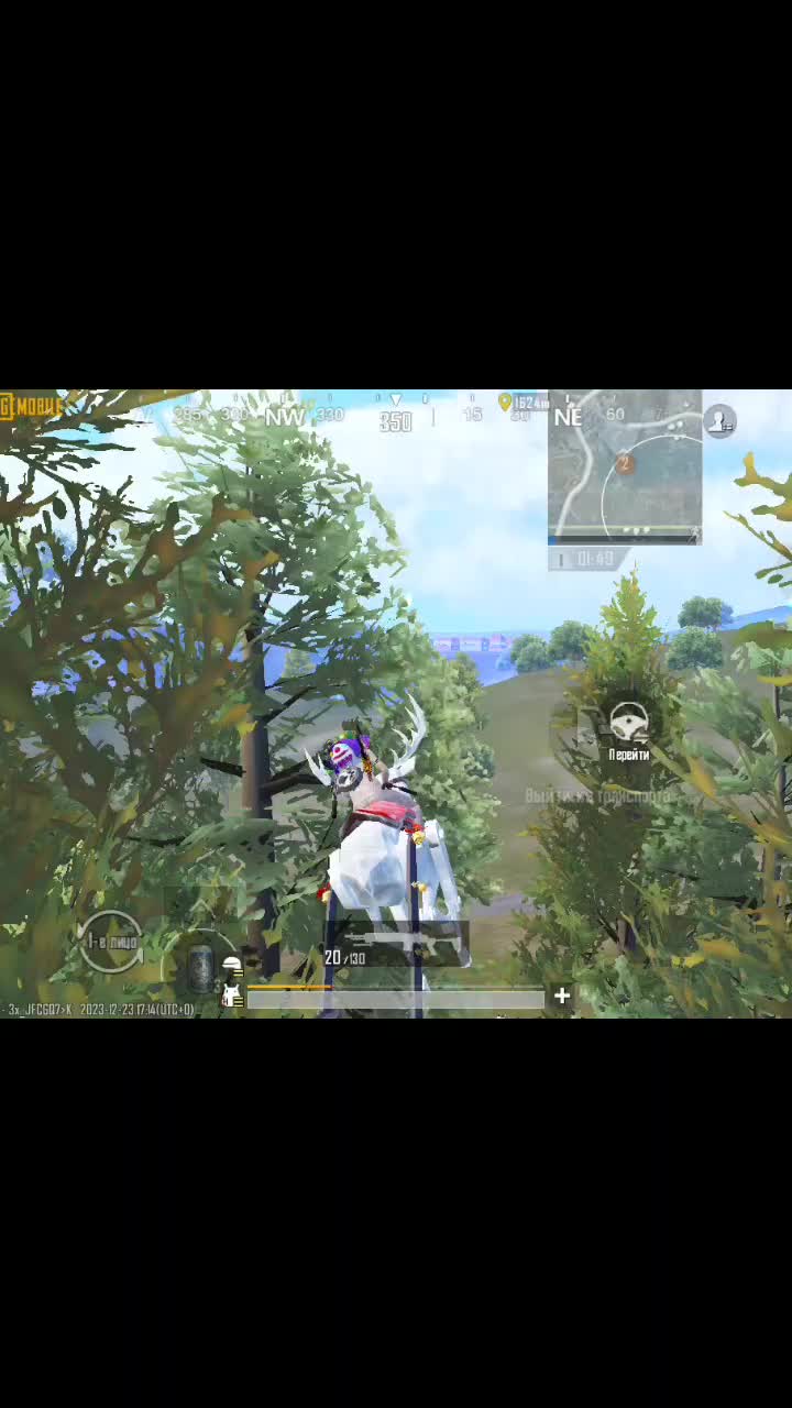@ukrop panda pubg
