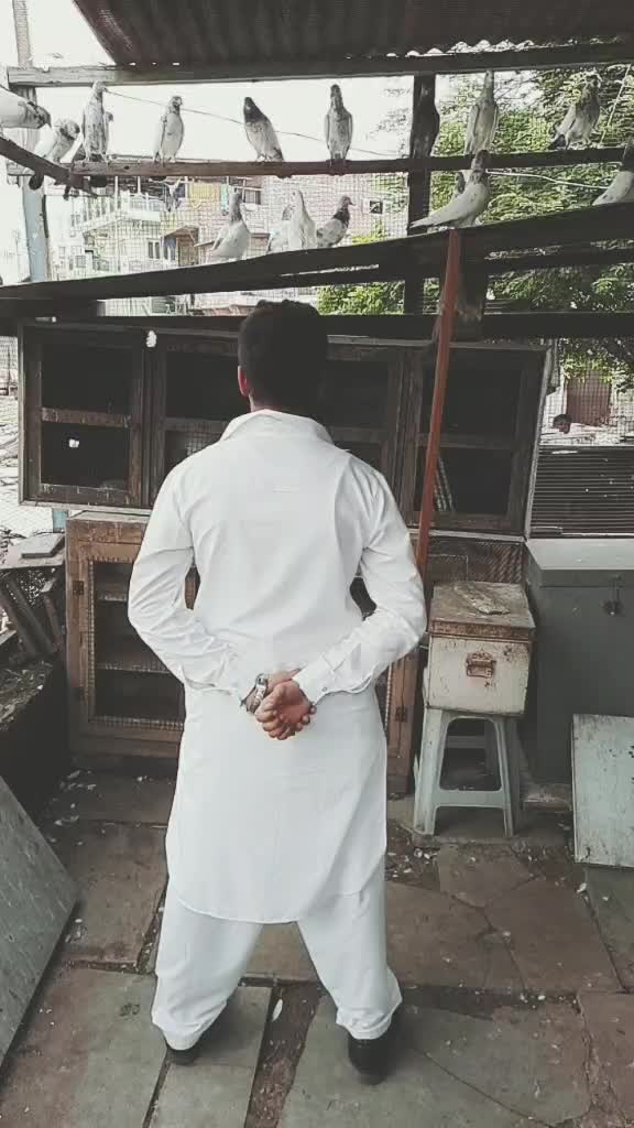 @Mustakim Khan ๐ฅ