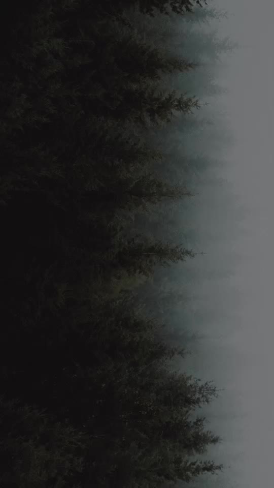 @Ziafat