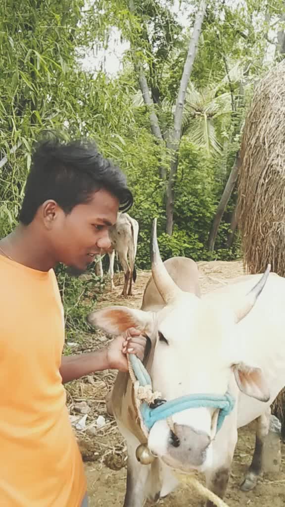 @Krishnagiri boy