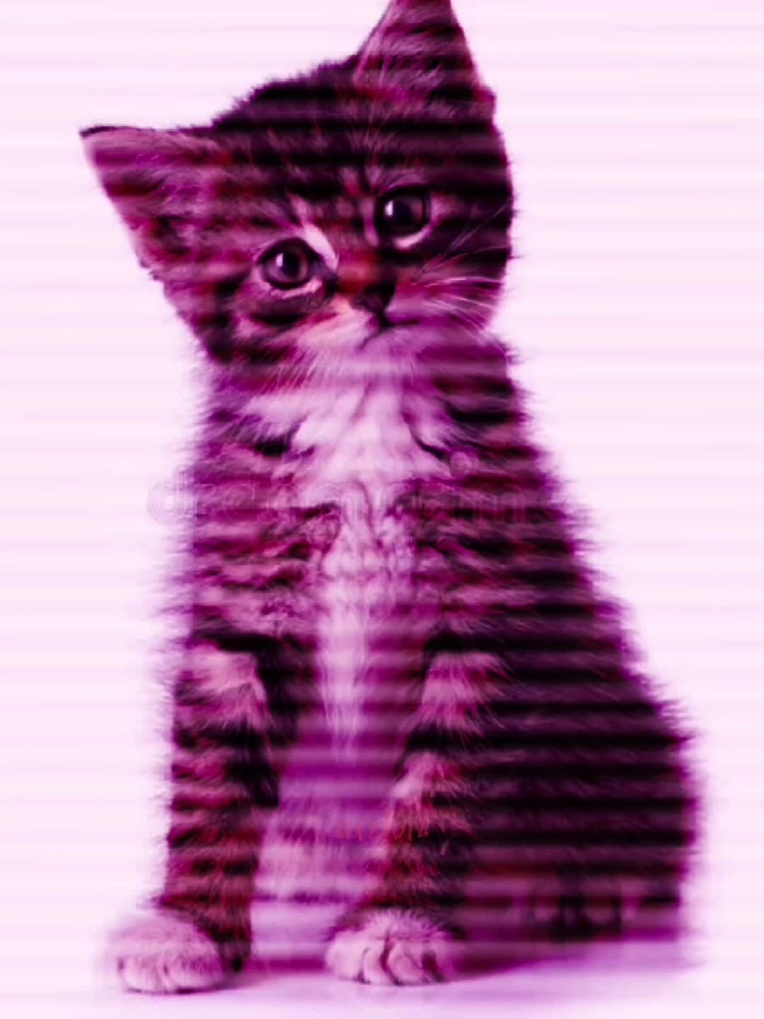 @<3