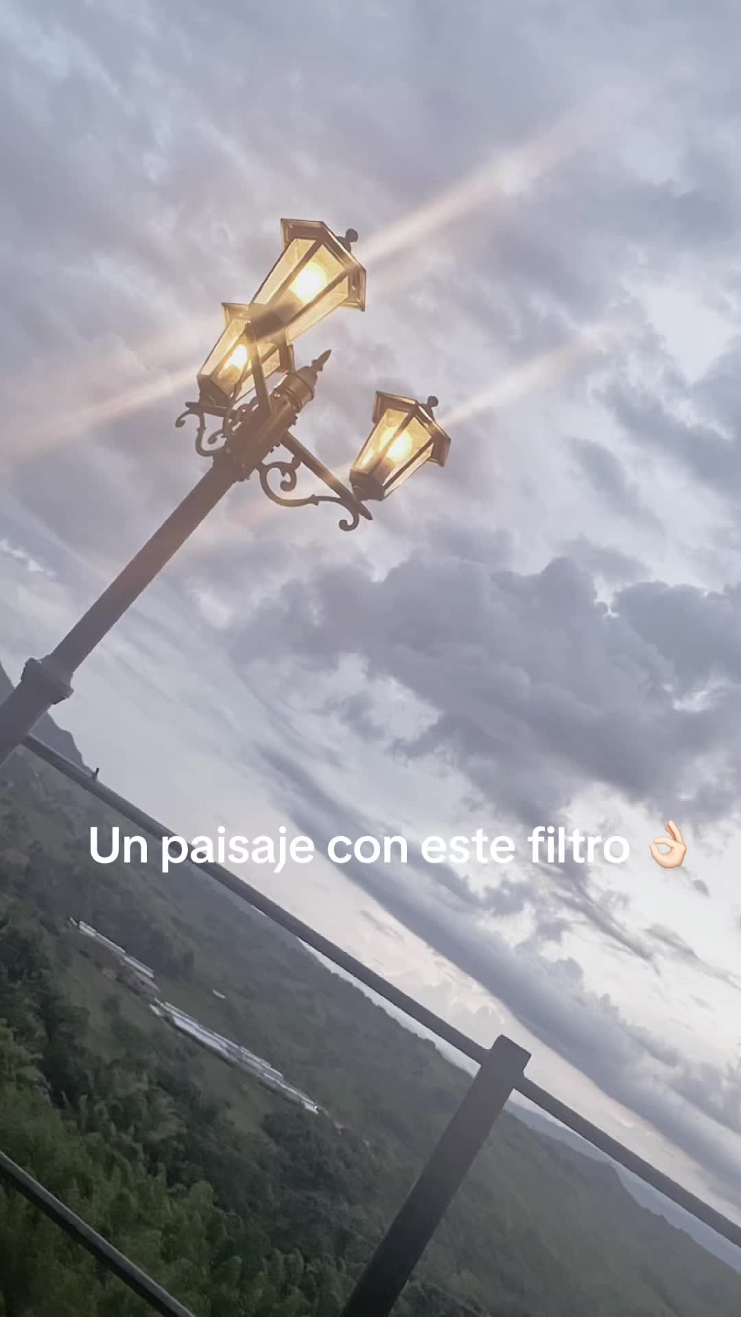 @camilo._.ortiz_