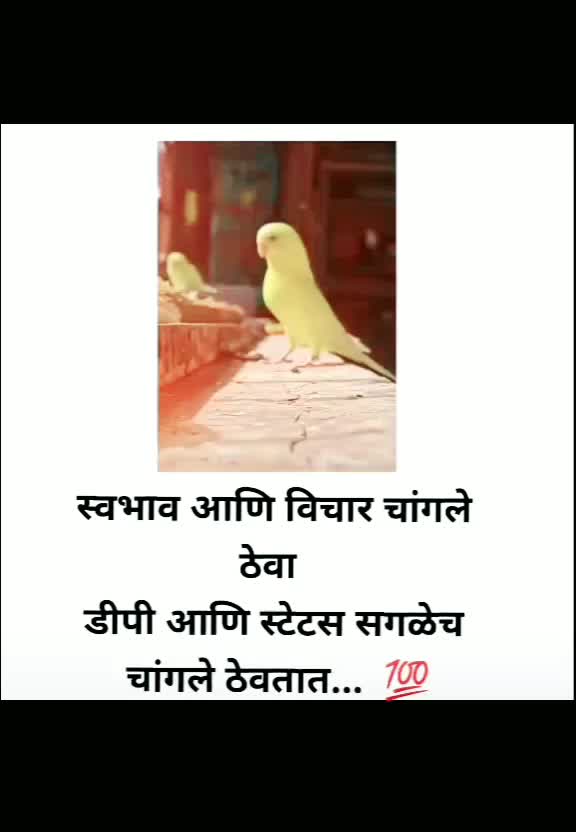 @शिवभक्तSD💥