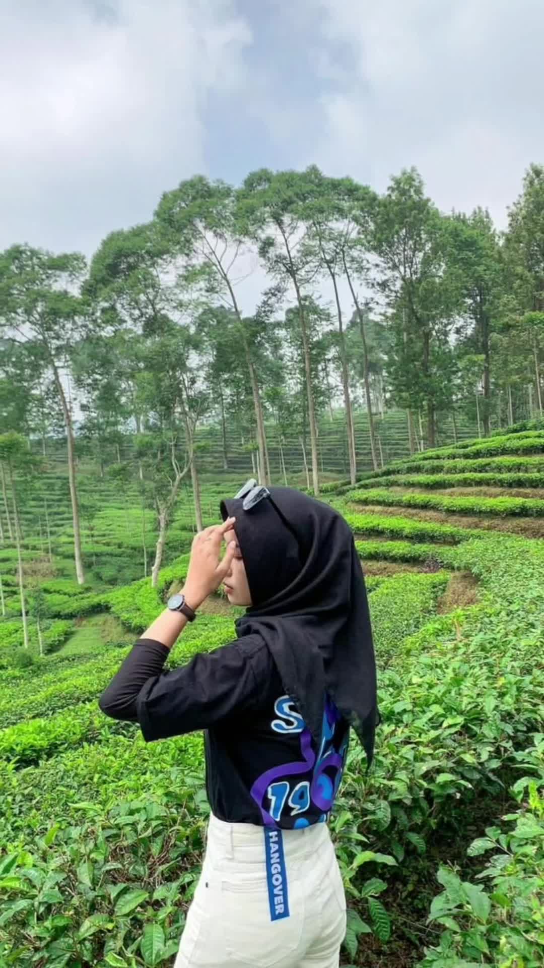 @Reva_hy