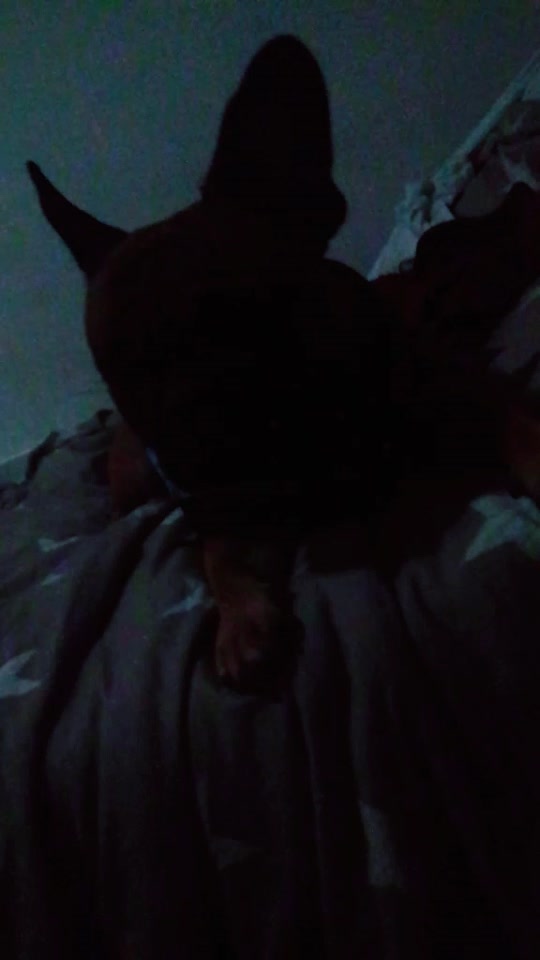 @nwow_pug.tok