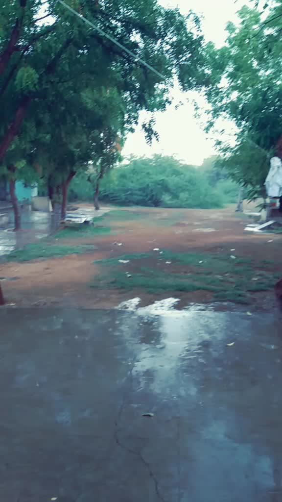 @shrimali jayesh shri