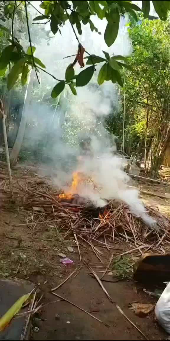 @Ujjwala Varma