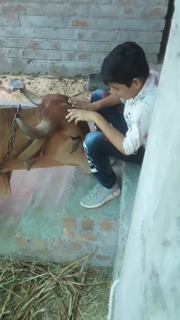 @Chetan bhai Bharvad