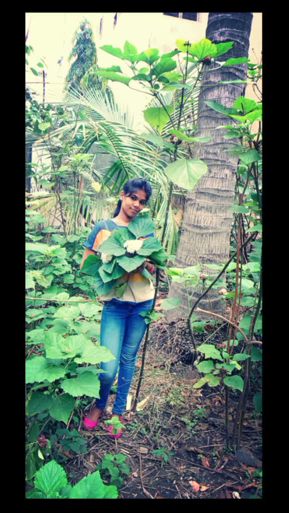 @Monisha Murali