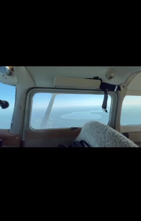 @Pilot of the world