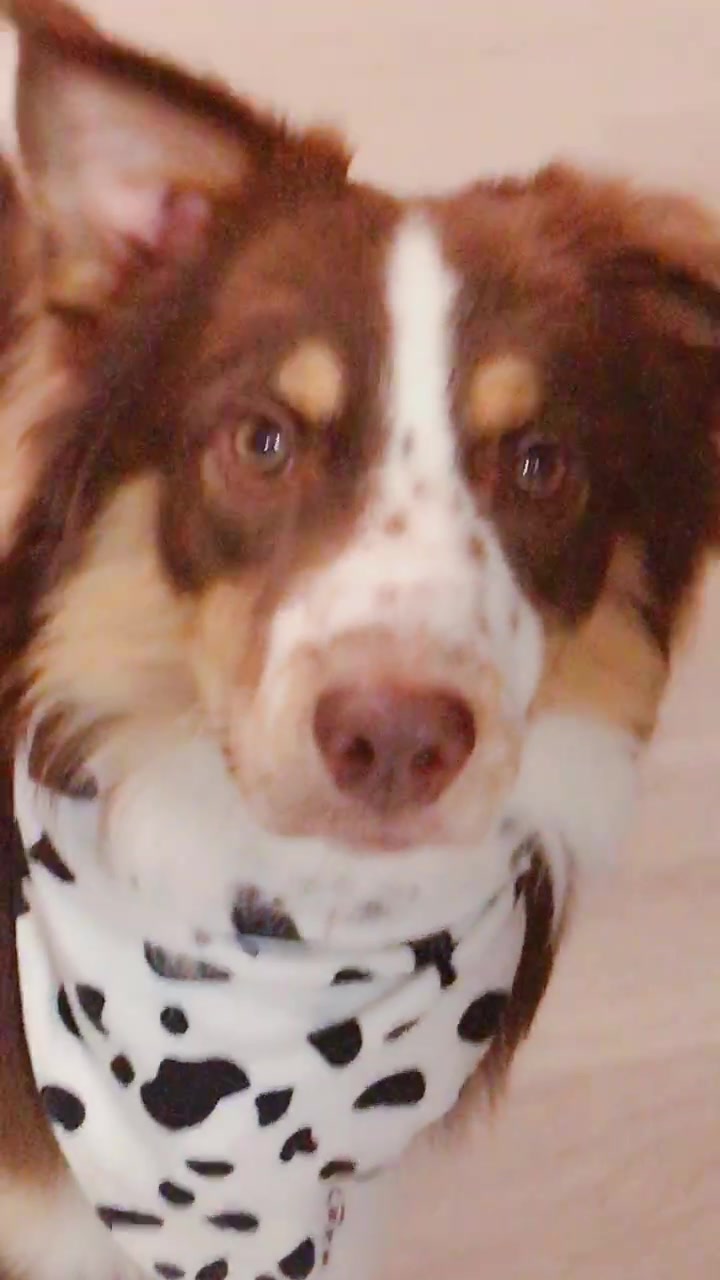 @ᗷoᗷo! 🧸