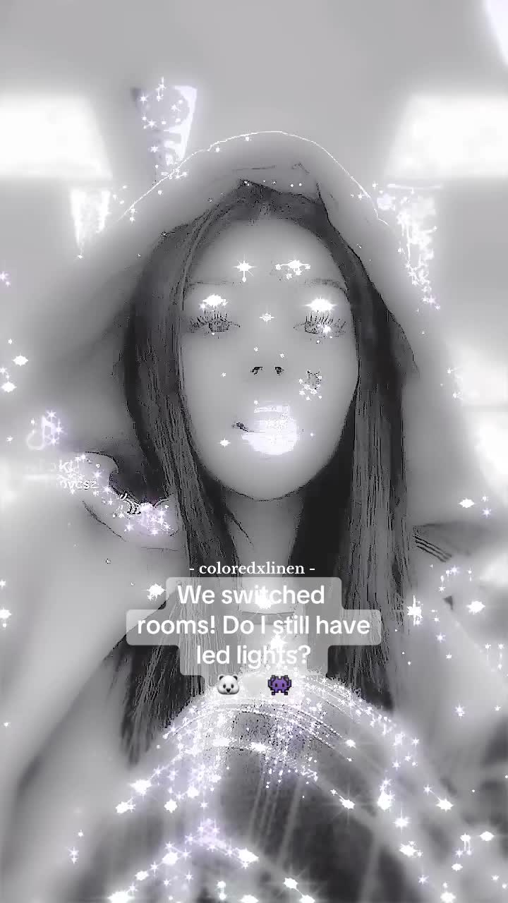 @⋆⑅˚₊ ᦔⅈꪀ𝕜 🐬🤍