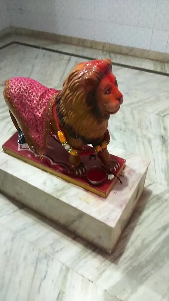 @jigar luhar
