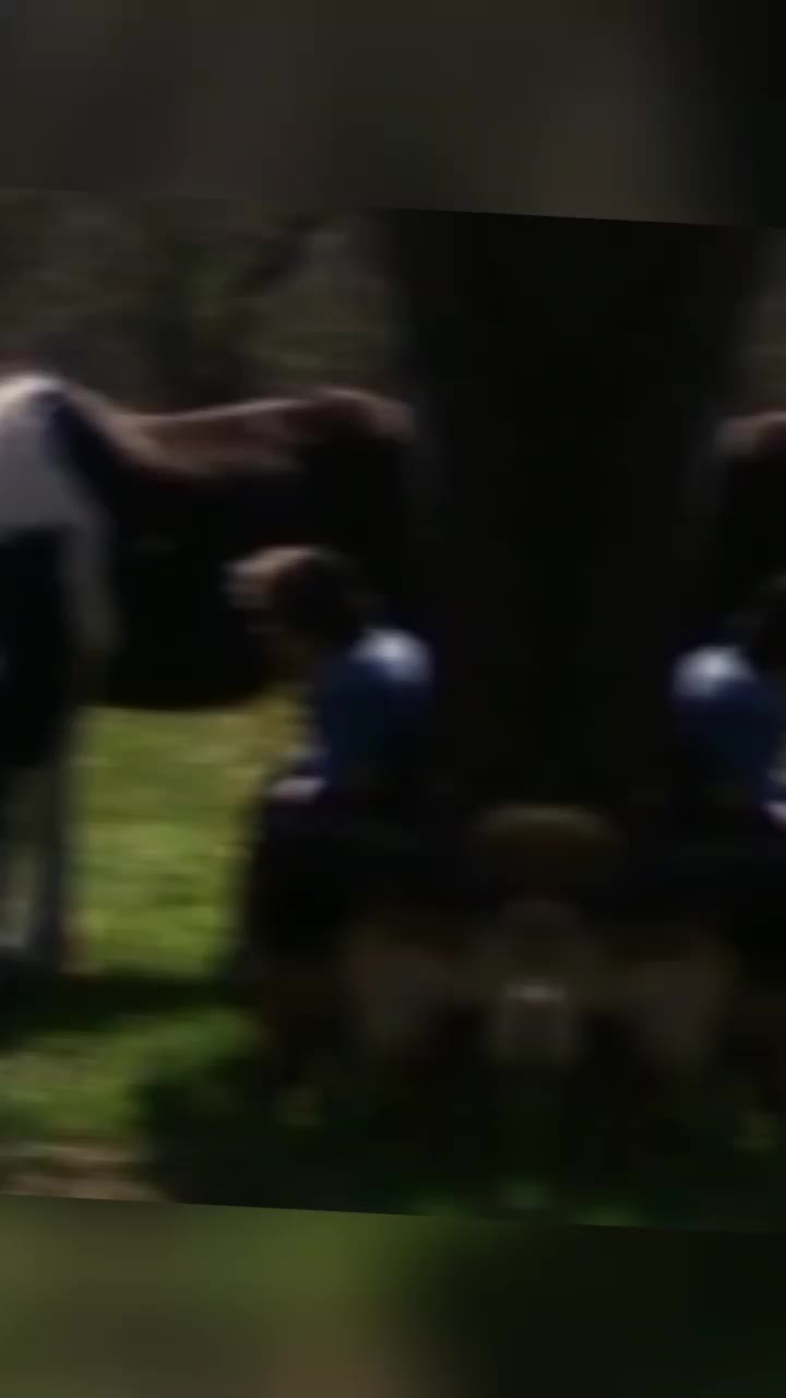 @🐄 Puschelfu&szlig; 🐎