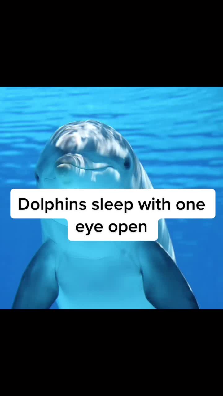 @Did you know that