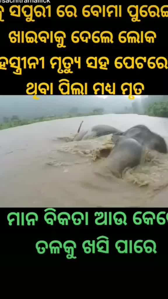 @Laxmi Sahu