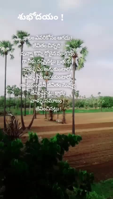 @యశోద కృష్ణా