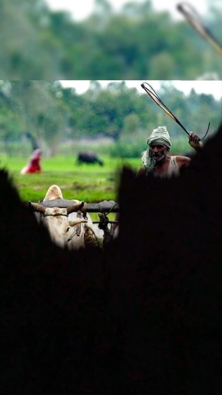@Bhanu Yadav