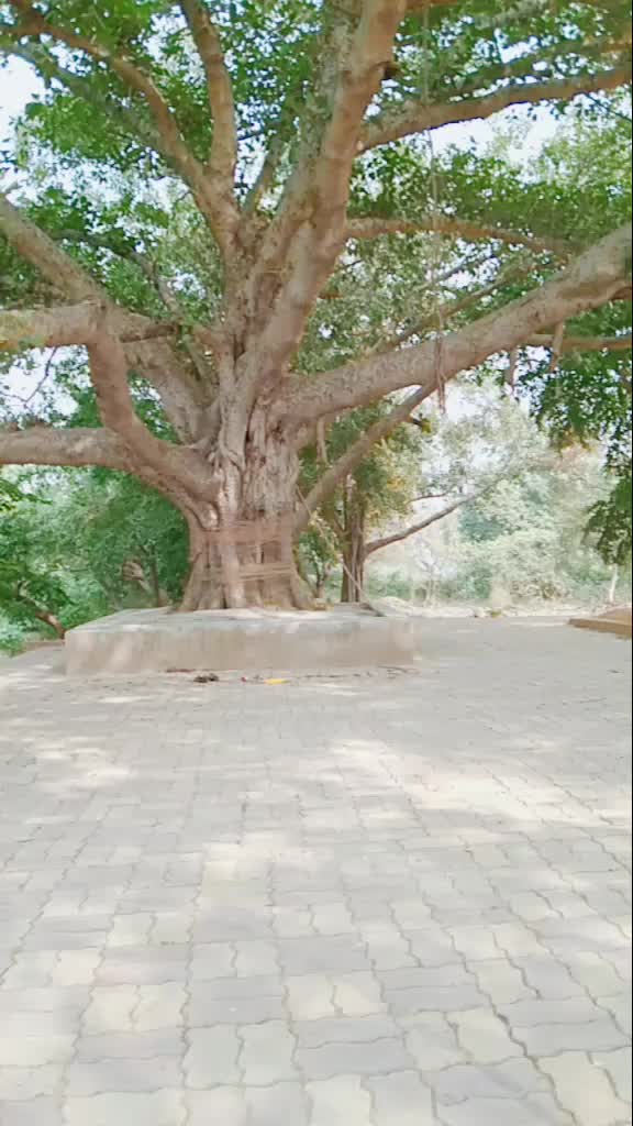 @Saiyam Baranwal