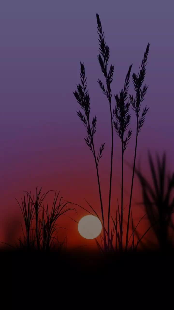 @Sarju Khadia