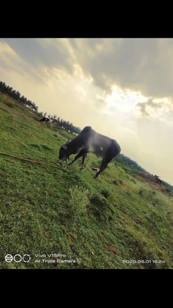 @தினேஷ் தீஷ்