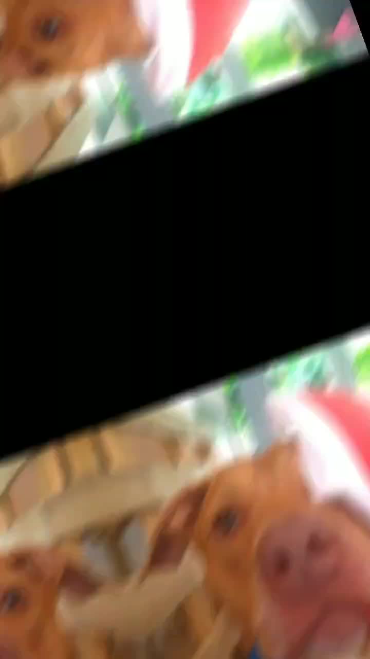 @Alekira