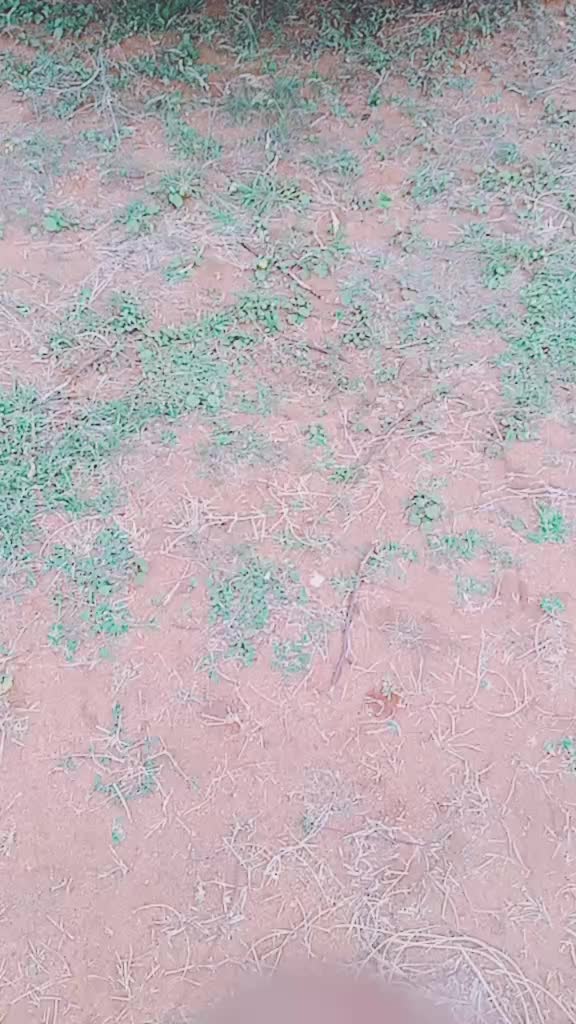 @ஈரோடு டிரைவர்