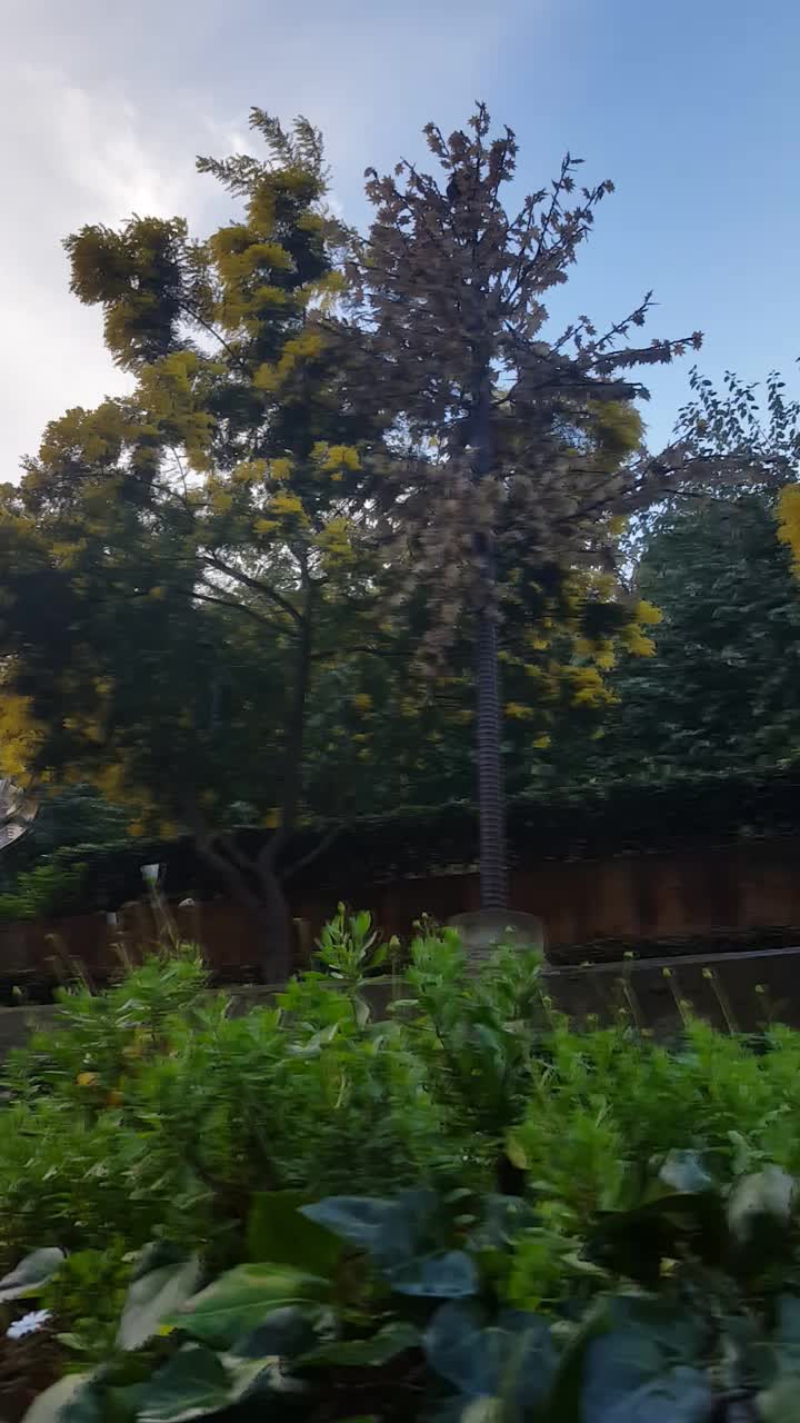 @go&eacute;land.dz