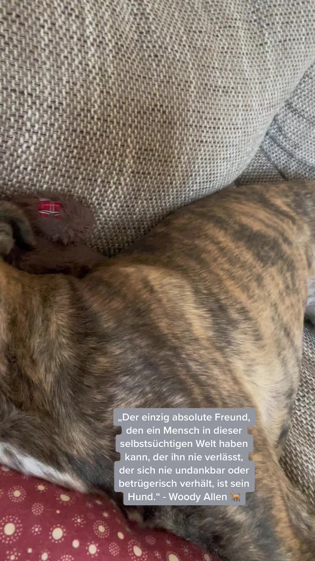 @nadiiineschmidt