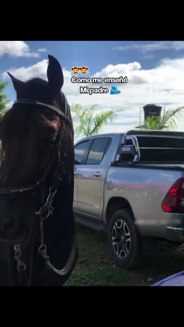 @.🌿