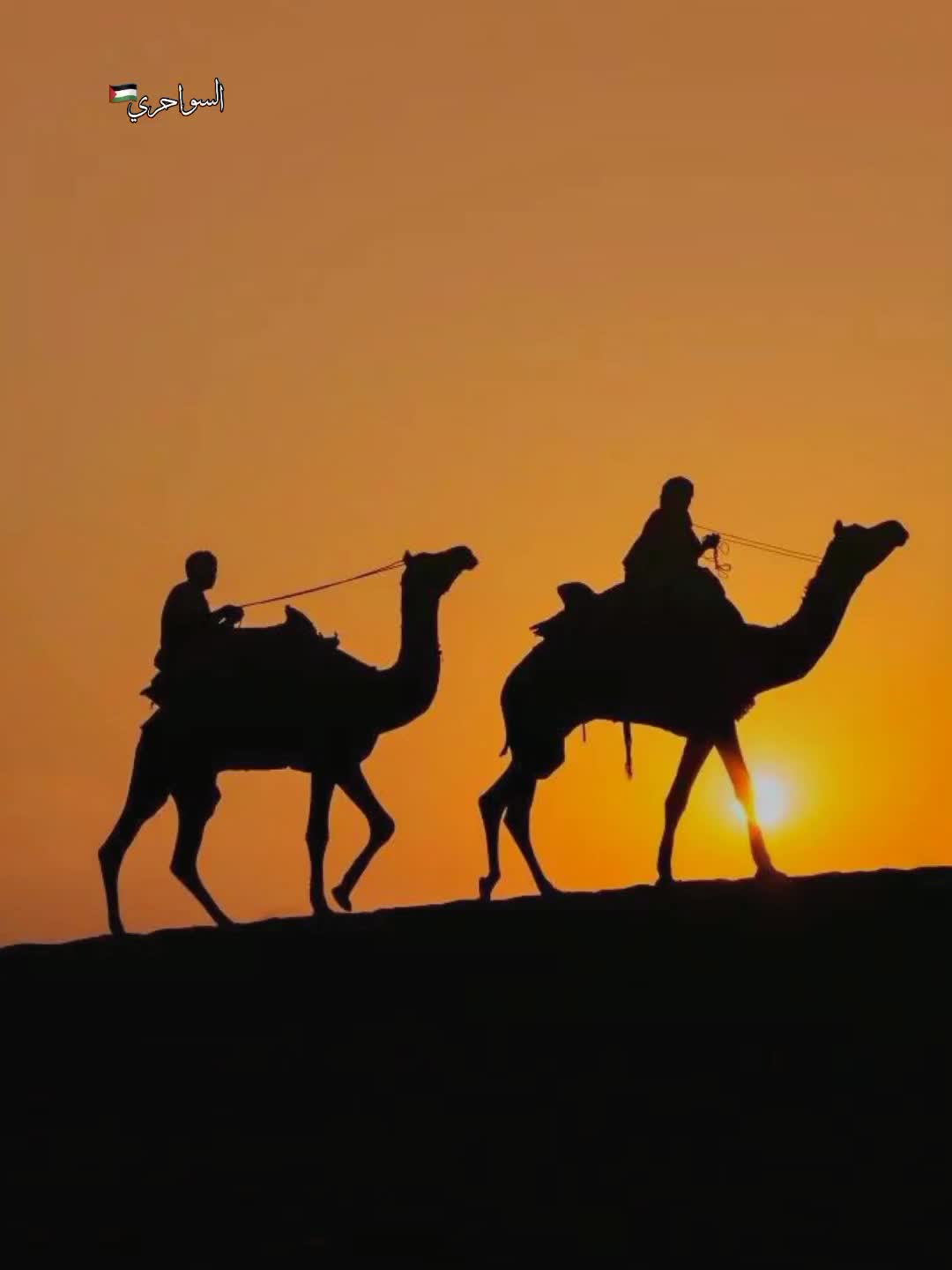 @السواحري🇵🇸