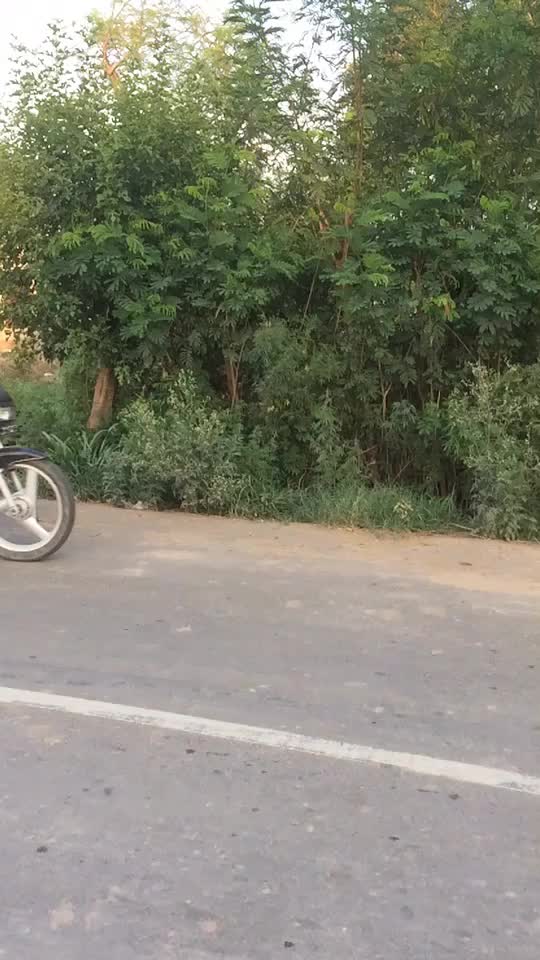 @user2901770524929