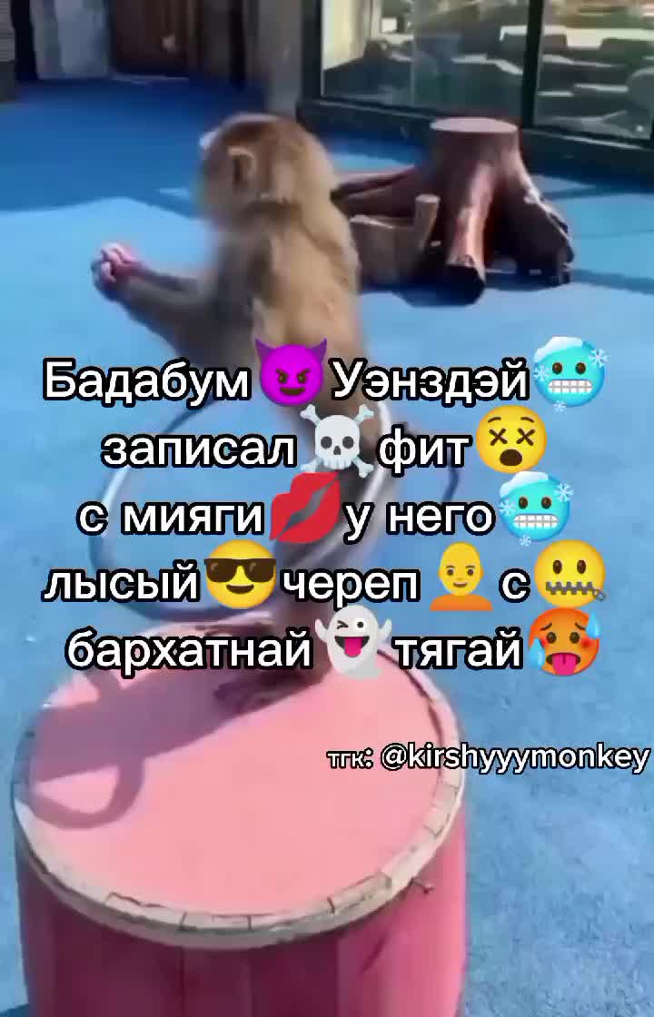 @🍌Киршу Монке🍌