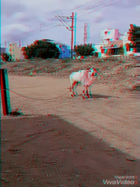 @திருச்சி புள்ளைங்க