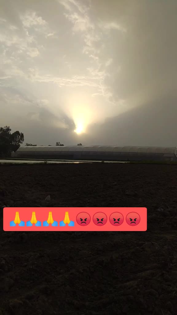@मोल्ड जाट