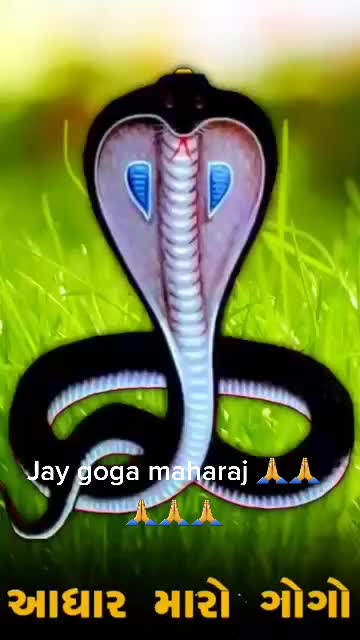 @Ghanshaym Patel