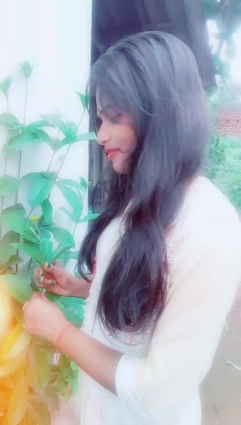 @saisurabhi