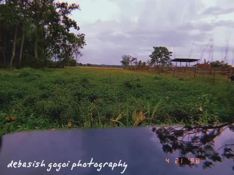 @debasish gogoi