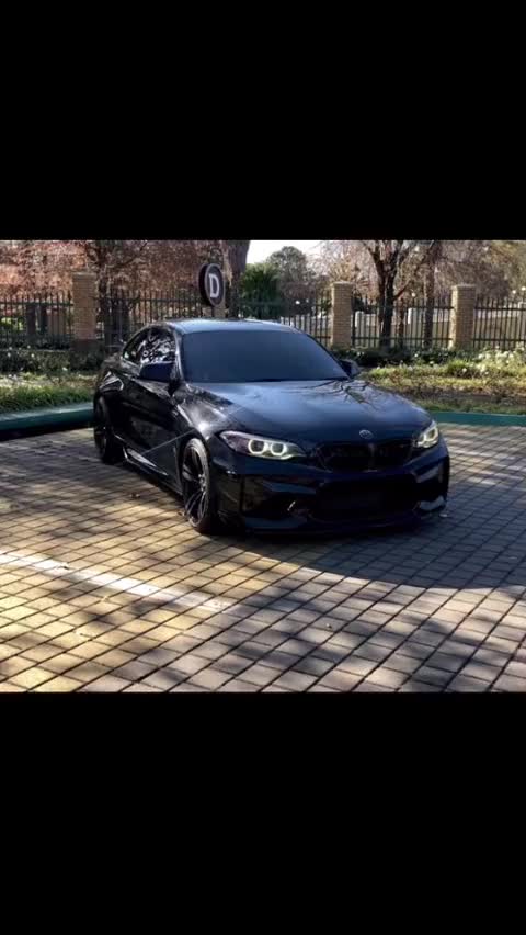 @Dark Stallion