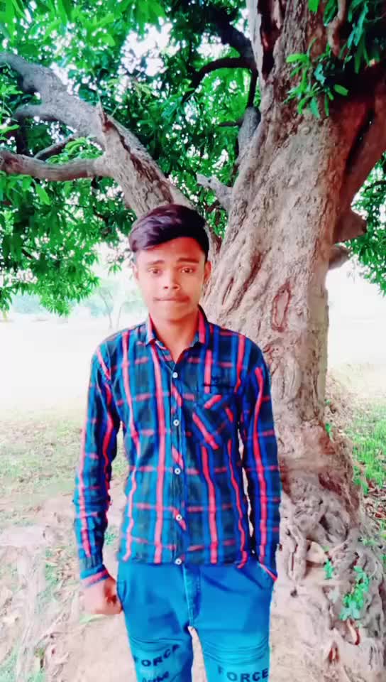 @Rahul Kumar Sahu7971