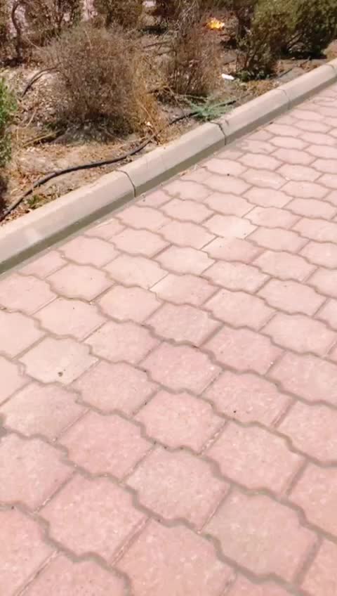 @പത്തനംതിട്ട എന്റെ നാട്