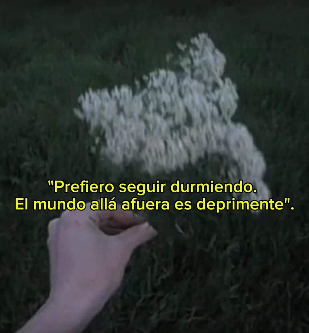 @Jaque🦇