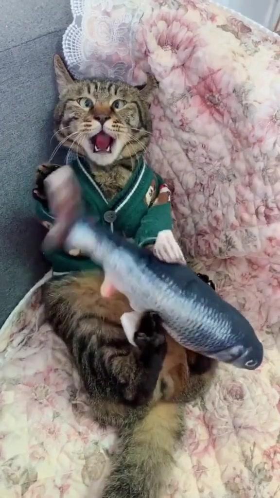 @user17565685837