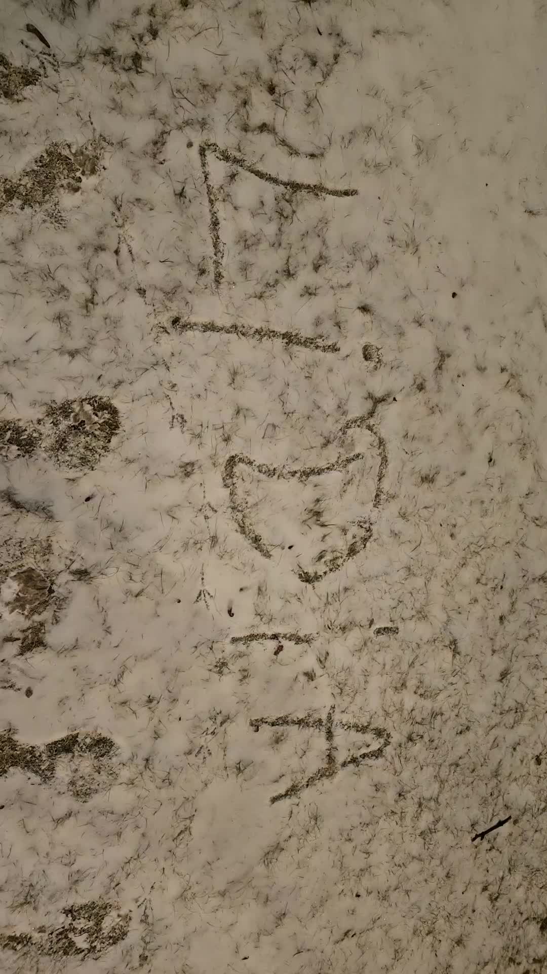 @семра