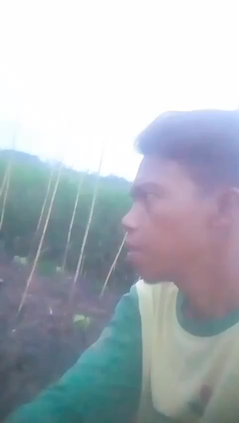 @ali mahesa