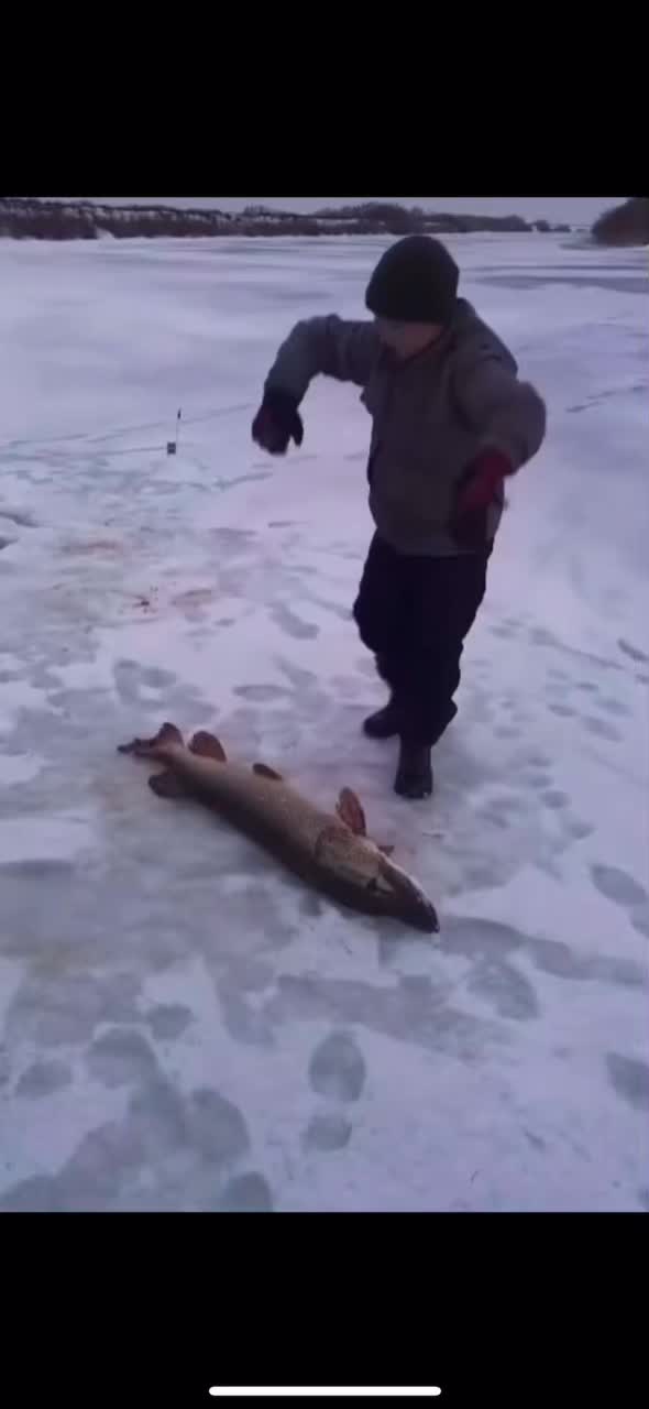 @Я твой космос