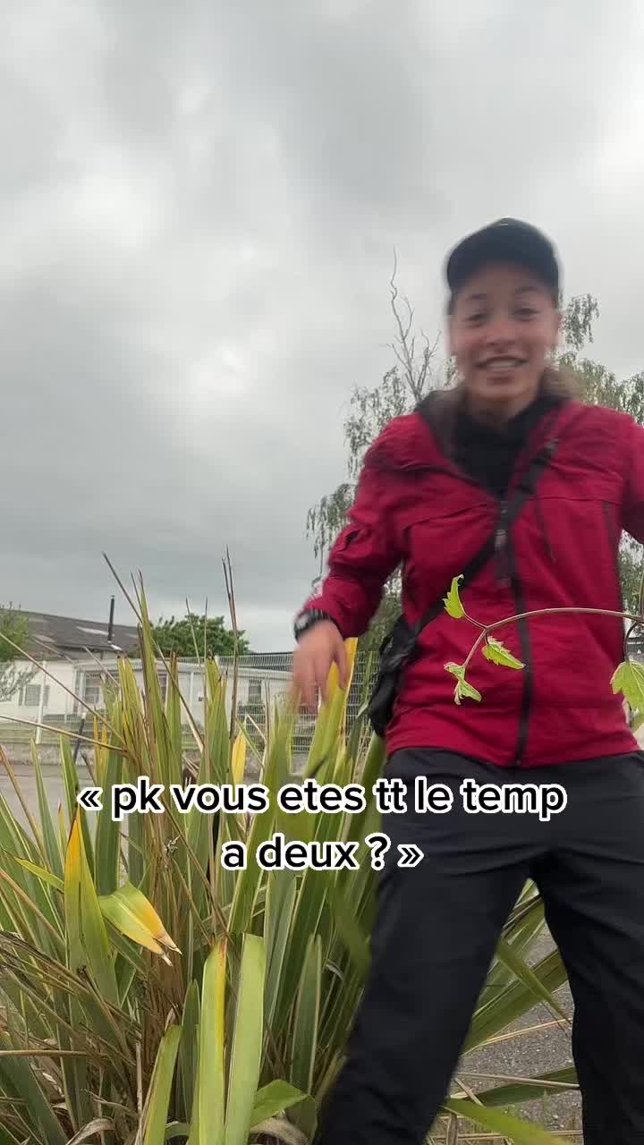 @le Zz