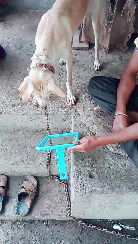 @मराठा९६ आशोक आवचार
